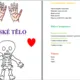 Týdenní příprava do MŠ lidské tělo 4