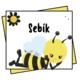 Výzdoba třídy - Jmenovky - Včelky 4