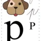 Přehledové karty b-d-p 4