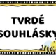 Výzdoba třídy - Tvrdé a měkké souhlásky - Včelky 3