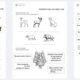 Sada pracovních listů / testů s řešením - PRVOUKA - 2.třída 2