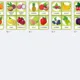 English flashcards - balíček 8