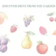 Garden book 4