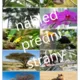Podnebné pásy a biomy - třídění 6