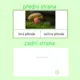 Živá a neživá příroda s kolíčky 2