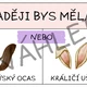 OTÁZKA DNE 2