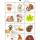 BINGO! Podzim 5