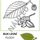 OMALOVÁNKY - PODZIM V LESE A NA LOUCE 5