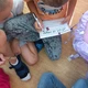 ŠIFRY - Skřítek luštitel - OPIS, PŘEPIS VĚT! 2. třída konec 1. třídy 5
