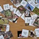 DOMINO - ROSTLINY A ŽIVOČICHOVÉ v lese 6
