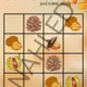 SUDOKU - Podzimní plody 2