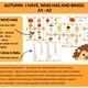 Autumn: I have, who has and BINGO A1 - A2 3