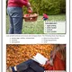 Autumn speaking set – pictures, riddles and questions A2–B1+ 7