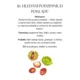 Podzim v pohybu - 20 podzimních pohybových her 2