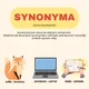 Synonyma, homonyma, antonyma - Přehled a příklady 2