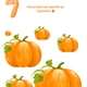 Dýňová plotovka 🎃 5