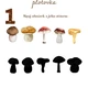 Houbová plotovka 🍄🍄‍🟫 2