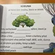 STROMY - kniha plná informací 6