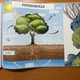 STROMY - kniha plná informací 5