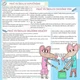 MYŠÁK BUM A MYŠKA BÍBA VE ŠKOLCE – malé příběhy k denním činnostem  2