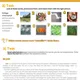 Pracovní list (AJ B1-B2) How climate change disrupts fall foliage 2