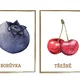 Ovoce 🍌🍍 10