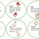 Brain breaks - 42 kartiček o zvířatech 3