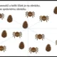 Podzimní počítání do 20 - pracovní listy 5