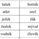 Třídíme podstatná jména rodu mužského 8