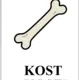 Třídíme podstatná jména rodu ženského 3