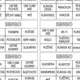 Informatika - digitální zařízení - bingo 4