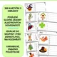 Five words, one picture – vocabulary, writing, speaking practice SET 1 3