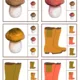 Podzim / Autumn 4