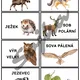 Rostliny a živočichové podnebných pásů - až 12 variant aktivit 4