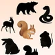 Podzimní plotovka  5