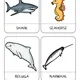 Three-part cards - SEA AND OCEAN 2