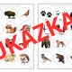 Postřehová KRUH - lesní zvířata, lesní zvířata a stopy (reálné obrázky zvířat) 4