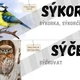 Přehled vyjmenovaných slov po S 3