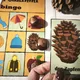 Deutsche Herbstwörter - pexeso, bingo, demonstrační kartičky 4