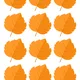 PROSVĚTLOVAČKA - PODZIM 🍂 3