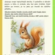 🌲Plotovka/stezka- Léto s lesními kamarády 🌲 2