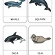 Three-part cards - SEA AND OCEAN 3
