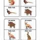 Lesní zvěř - Já mám ..., kdo má ...? 2
