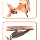 🌲 LESNÍ ZVÍŘÁTKA – didaktický balíček pro MŠ 🦉🦊🦔 4