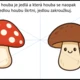 Pracovní listy - podzim 4