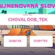 Vyjmenovaná slova po B, L, M - interaktivní bohatý kvíz a hry 3