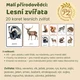 Malí přírodovědci: Demonstrační karty lesní zvířata 2