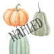 Halloween - soubor aktivit (30 stran) 2
