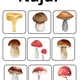 Podzim-houbový den🍄‍🟫🍄 4