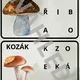 Houbový les 2